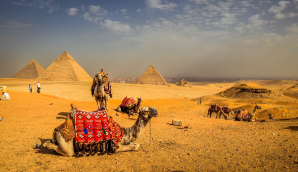 How to Pick the Best Travel Guide Books Enjoy With Travel 2020