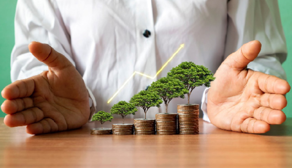 Immense Potential Sector in Green Economy