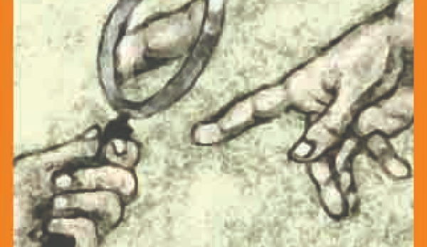 What Does the Reason Say? : Ibn al-Nafīs’ Problematization of Natural Reason