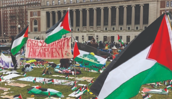 Reviving History: A Wave of Pro-Palestine Sentiment Sweeping Across US Colleges and Universities