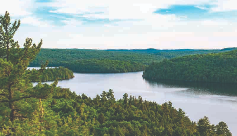 When Water Wages War: The Politics of Rivers, the Battlefields of Nations